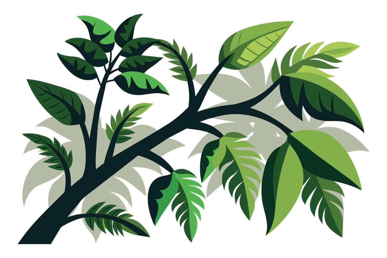 Greenery tree branch under shadow illustration on white background vector