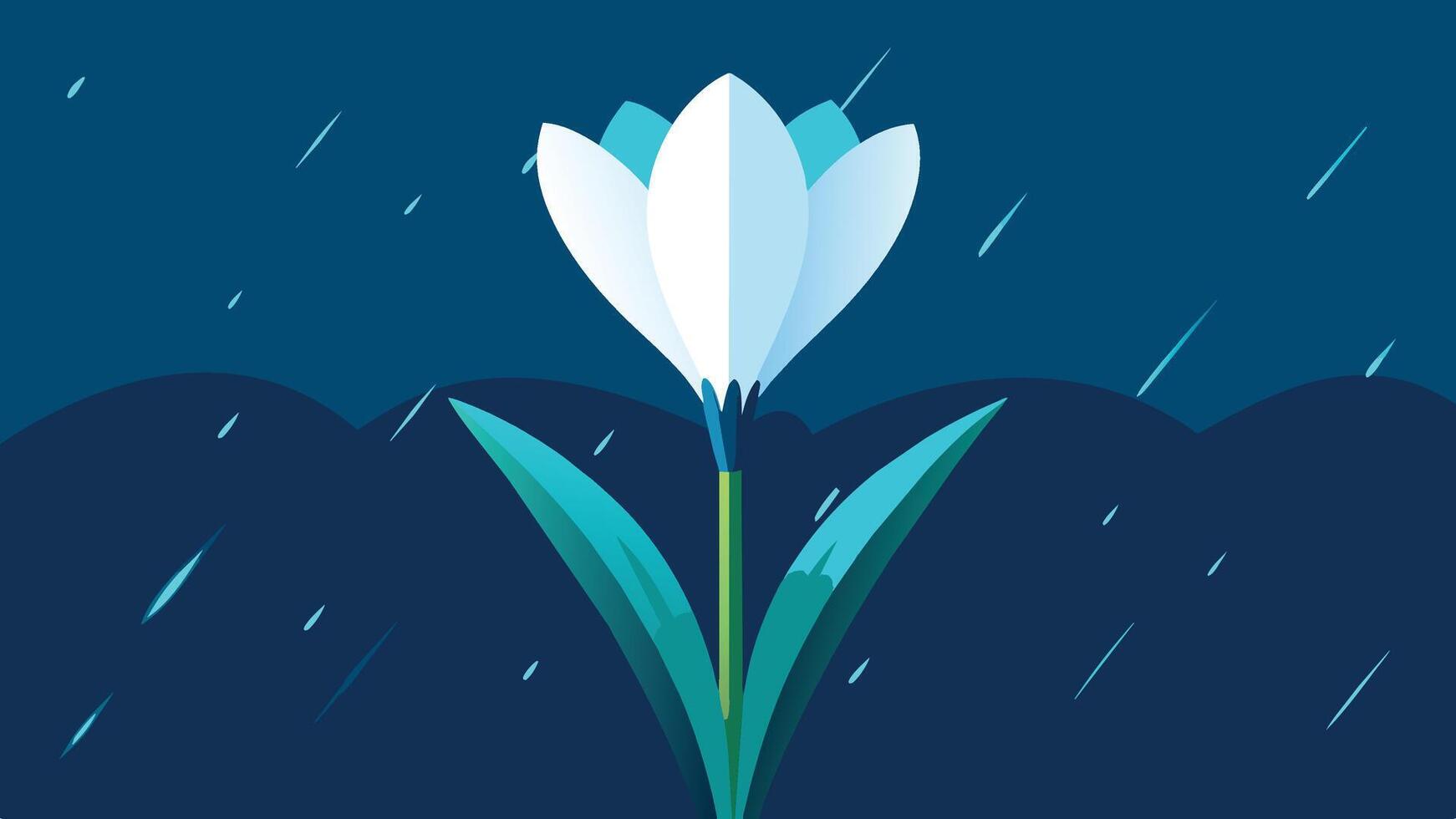 Single flower of white crocus in the spring rain. Beauty of nature illustration. vector