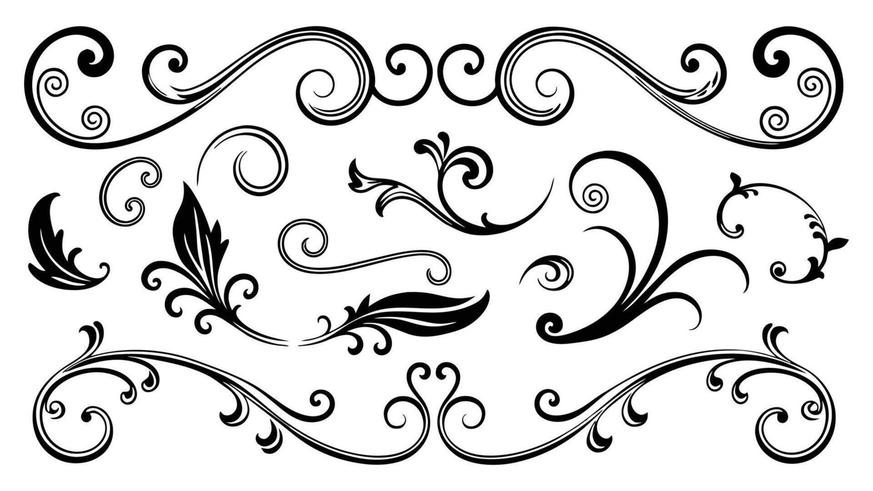 Swirl ornament. Filigree flourish twirl vintage line divider frame calligraphy element. vector
