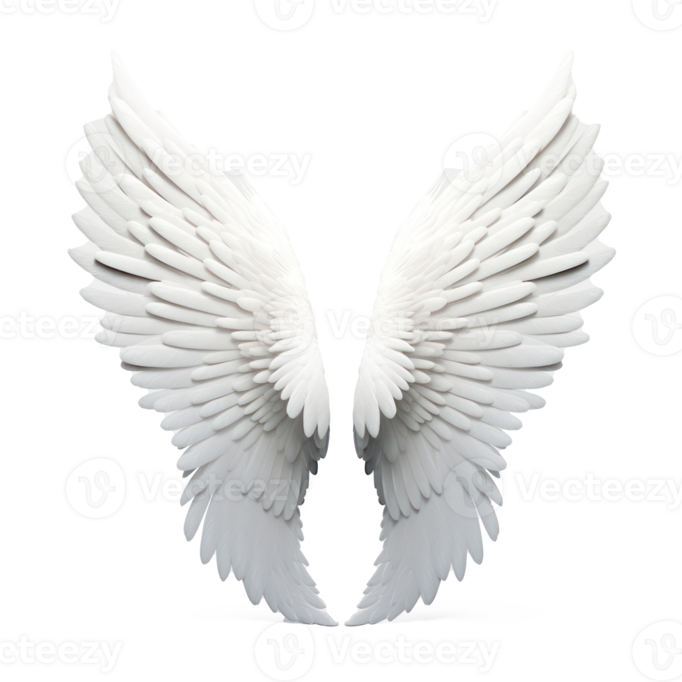 white angel wings on transparent background png