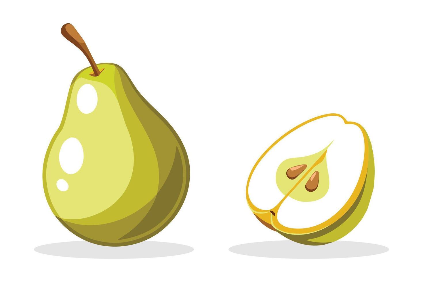 Pear pears fruit, many angles and side views, flat illustration. vector