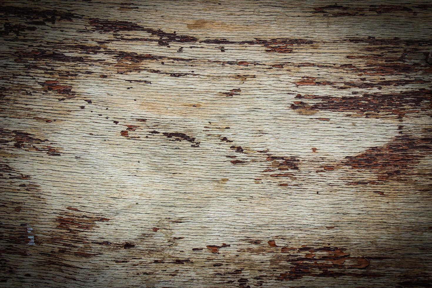 tree texture with paint remnants photo