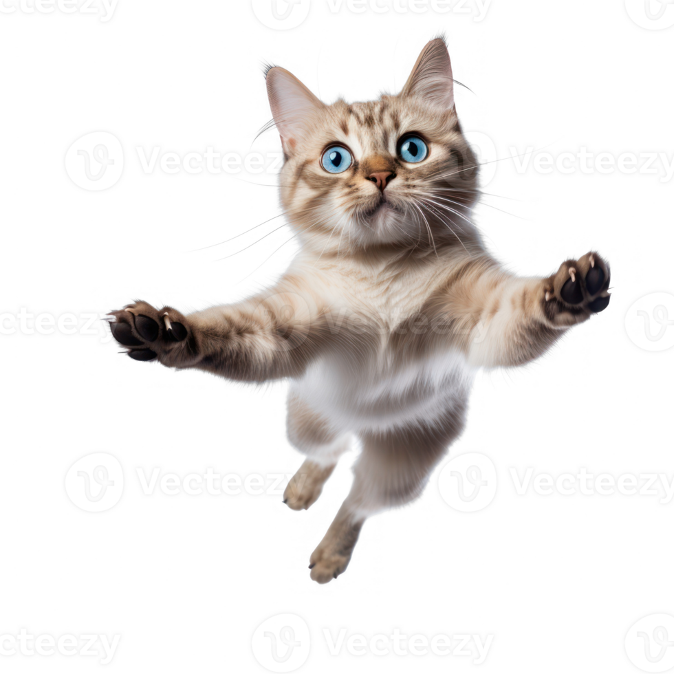 a cat is flying in the air with its paws up png