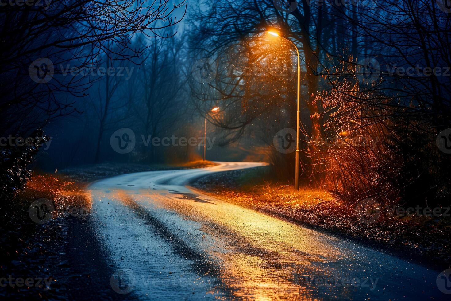 Solitary street lamp lighting an empty road at night photo