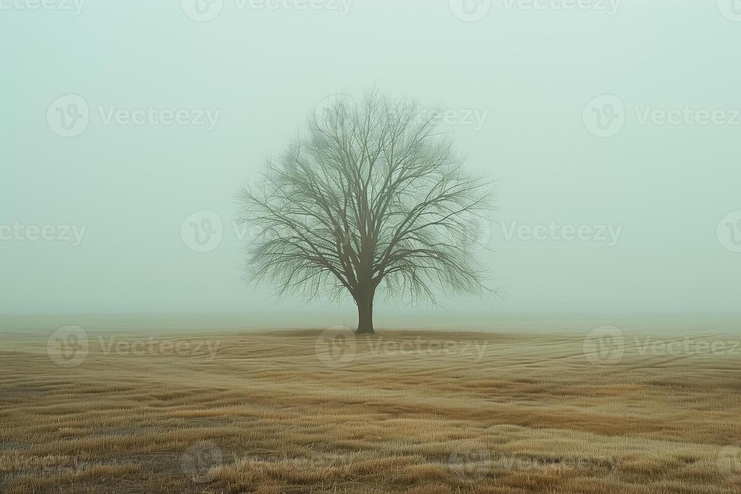 A foggy morning with a single tree barely visible photo