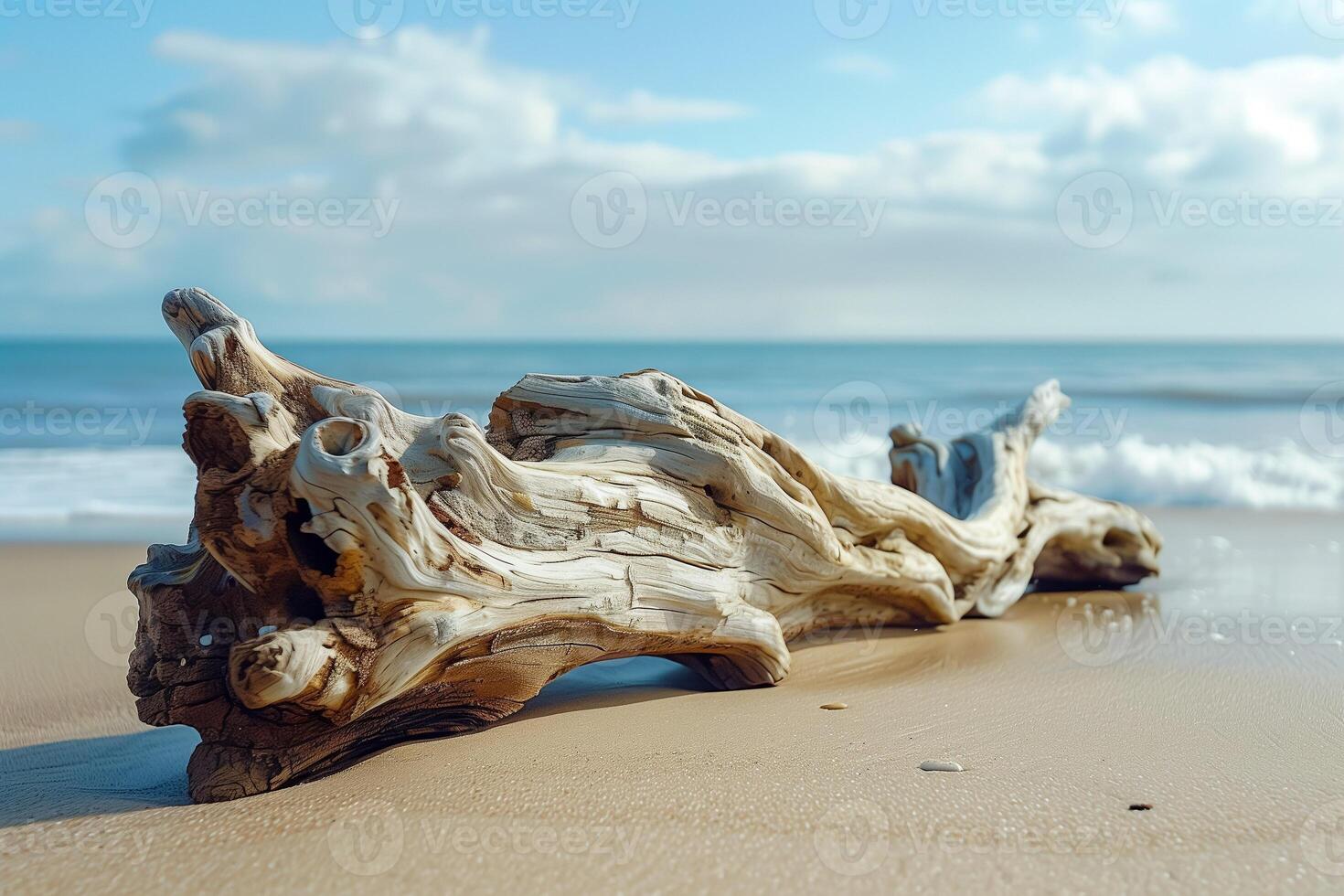 Single piece of driftwood on an empty beach, symbolizing isolation and loneliness photo