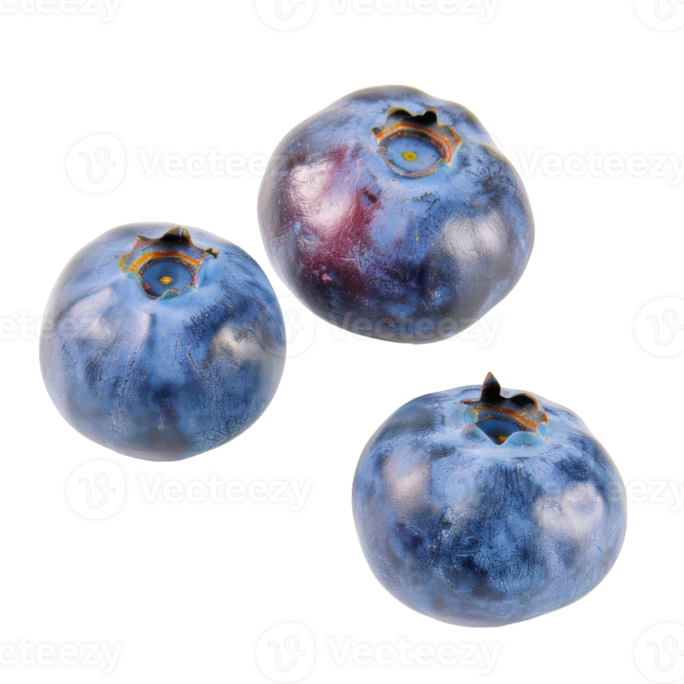Blueberry, fruit realistic Illustration. Realistic Transparent file. Mockup template for artwork graphic design png