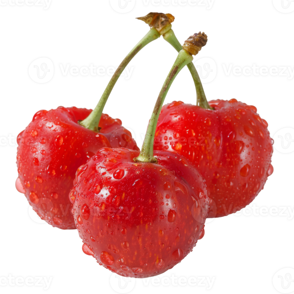 Cherry, fruit realistic Illustration. Realistic Transparent file. Mockup template for artwork graphic design png