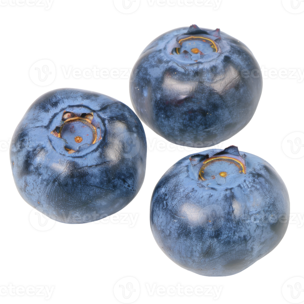 Blueberry, fruit realistic Illustration. Realistic Transparent file. Mockup template for artwork graphic design png