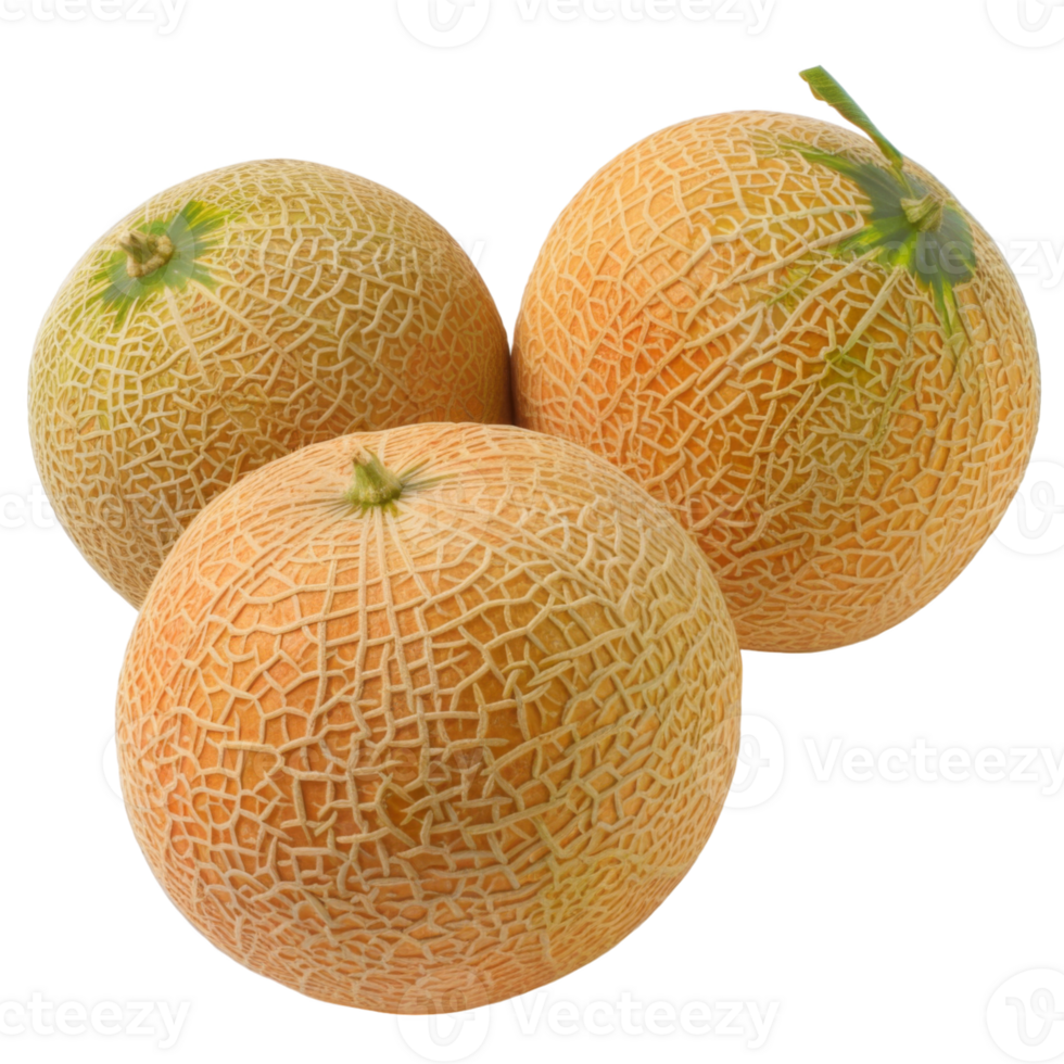 Cantaloupe, fruit realistic Illustration. Realistic Transparent file. Mockup template for artwork graphic design png
