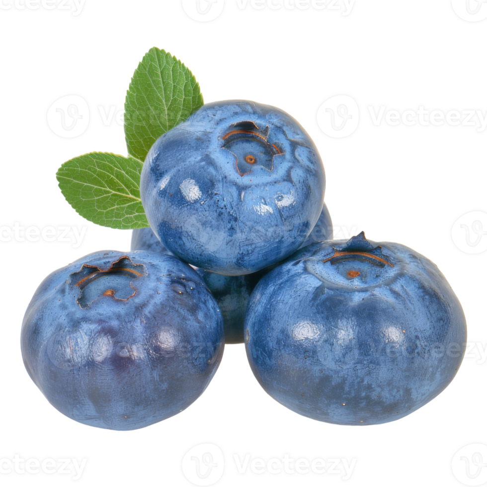 Blueberry, fruit realistic Illustration. Realistic Transparent file. Mockup template for artwork graphic design png