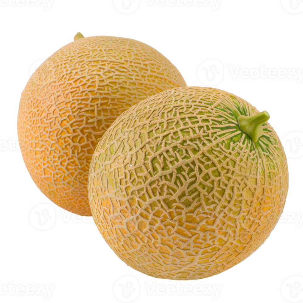 Cantaloupe, fruit realistic Illustration. Realistic Transparent file. Mockup template for artwork graphic design png