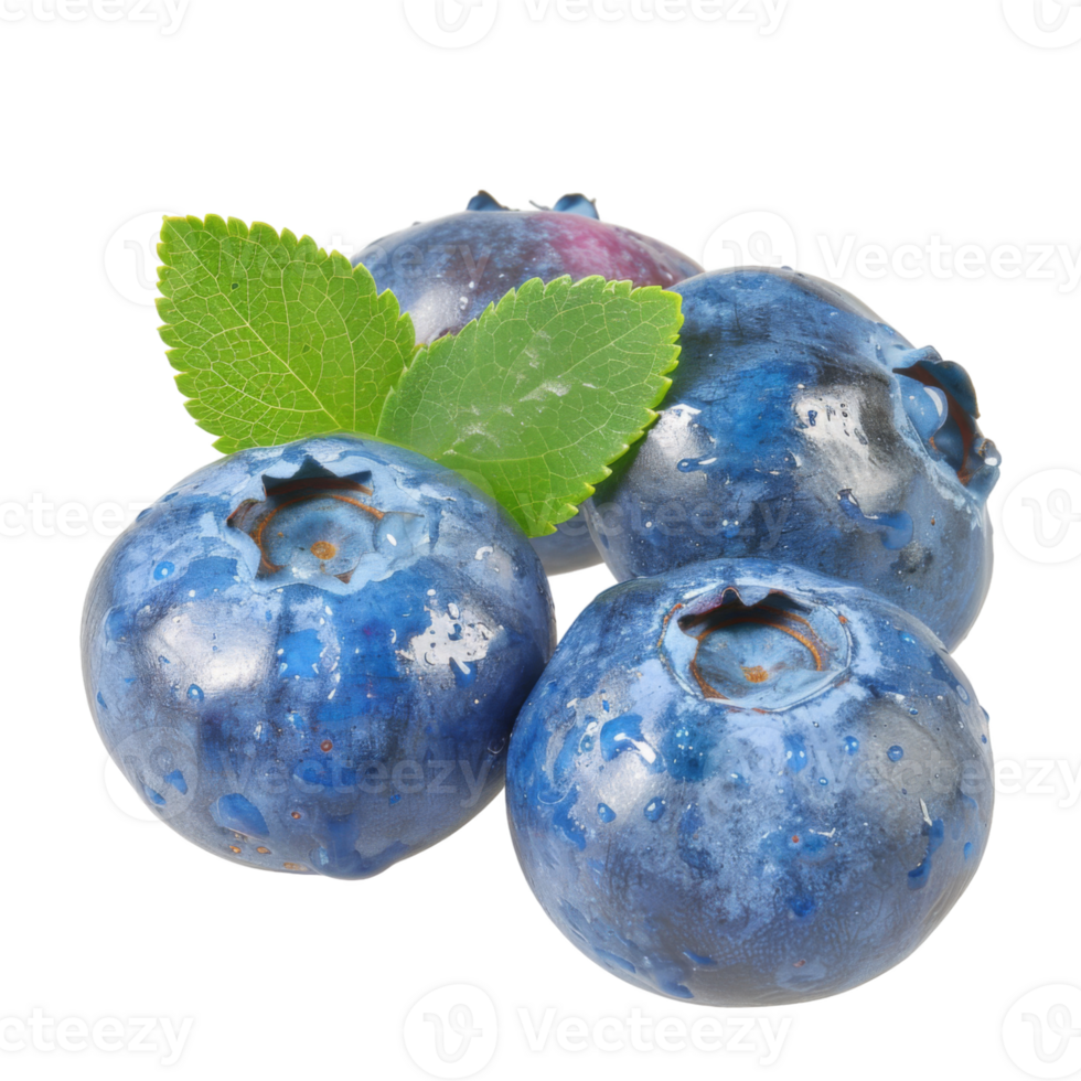 Blueberry, fruit realistic Illustration. Realistic Transparent file. Mockup template for artwork graphic design png