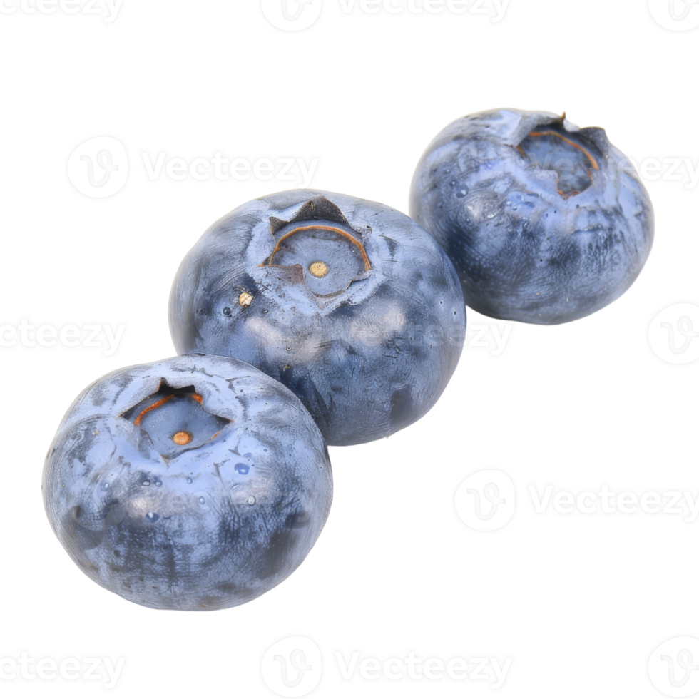 Blueberry, fruit realistic Illustration. Realistic Transparent file. Mockup template for artwork graphic design png