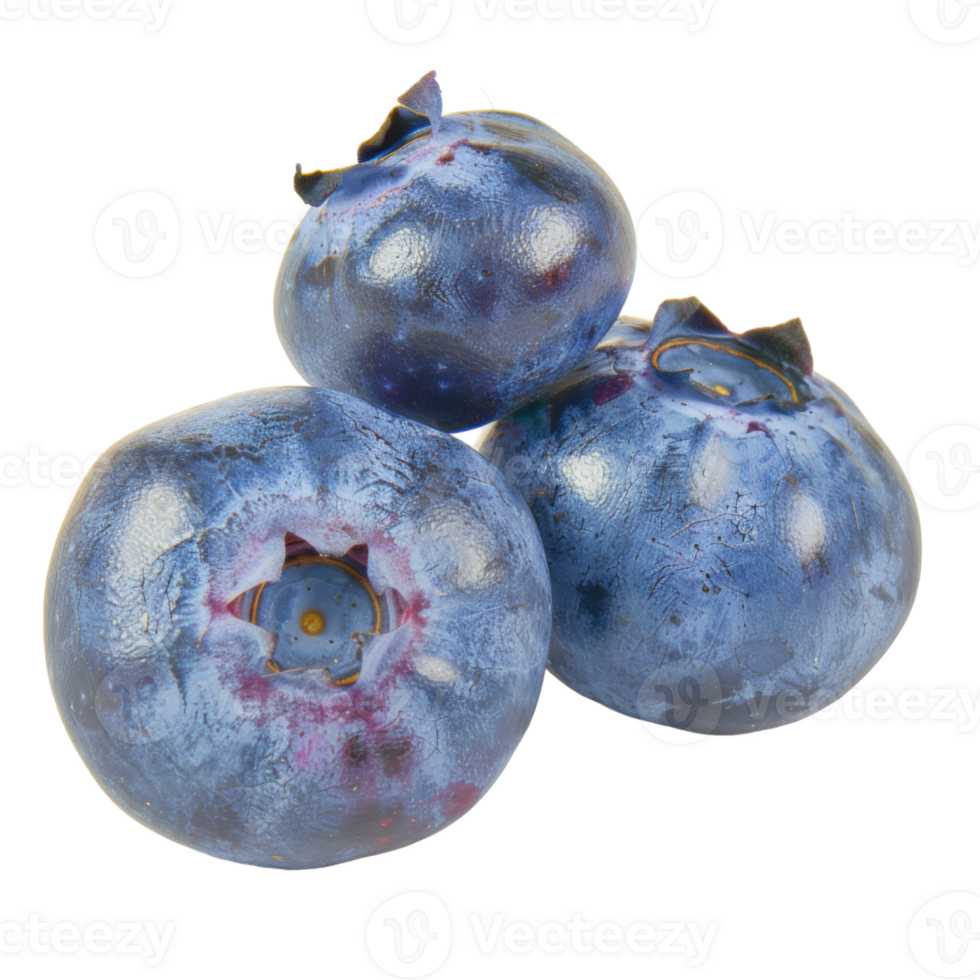 Blueberry, fruit realistic Illustration. Realistic Transparent file. Mockup template for artwork graphic design png