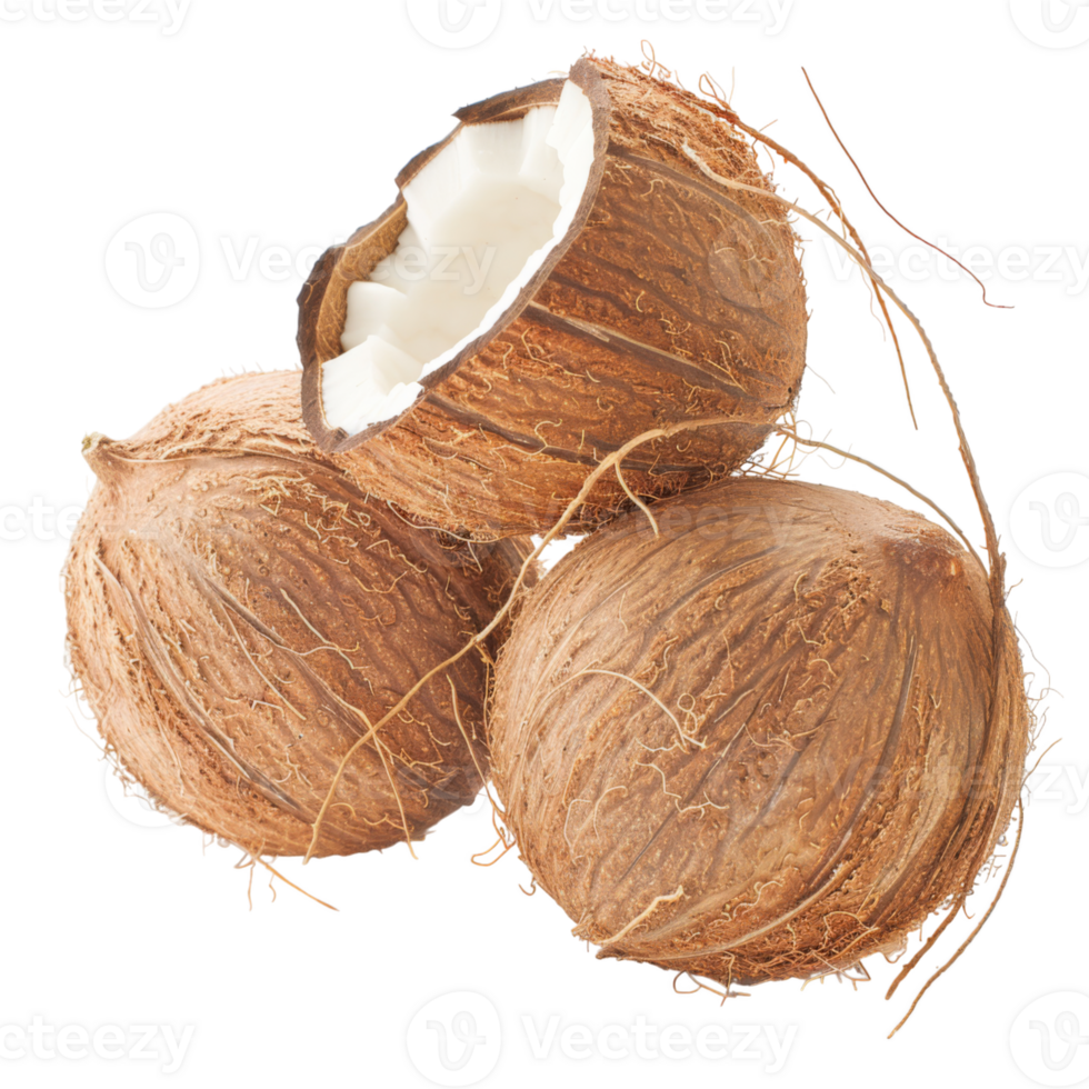Coconut, fruit realistic Illustration. Realistic Transparent file. Mockup template for artwork graphic design png
