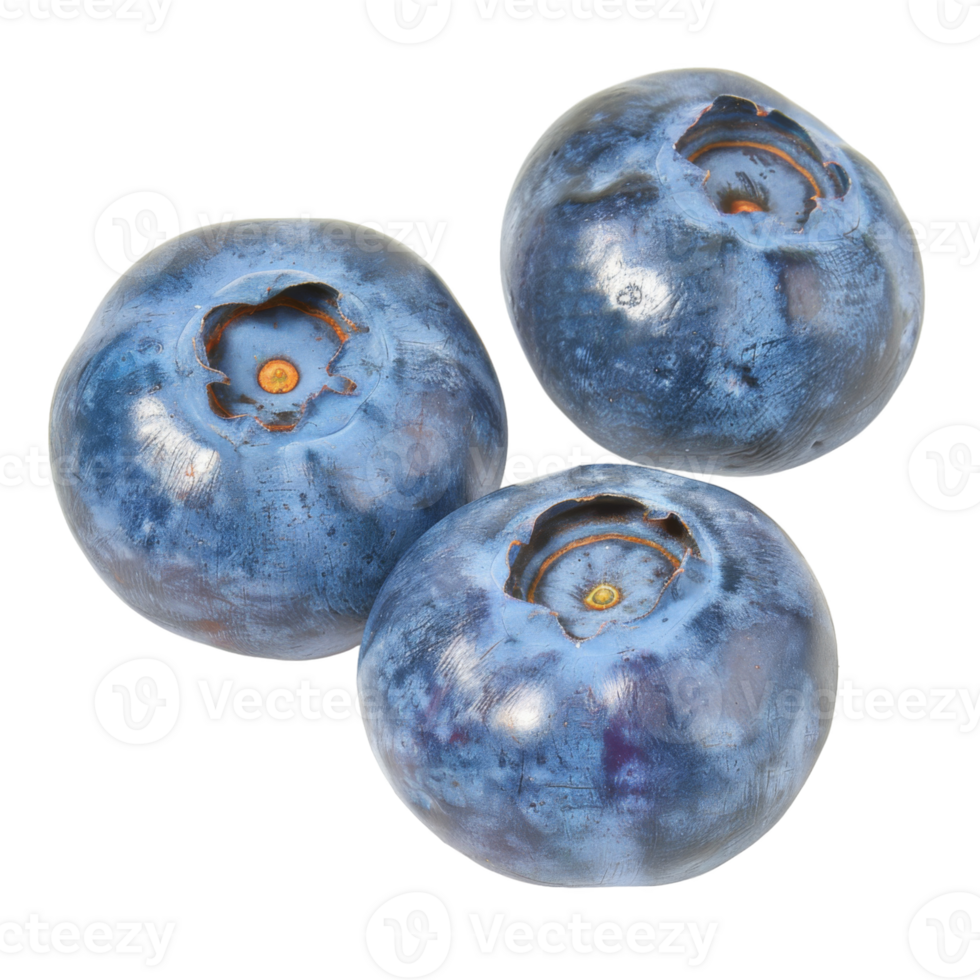 Blueberry, fruit realistic Illustration. Realistic Transparent file. Mockup template for artwork graphic design png