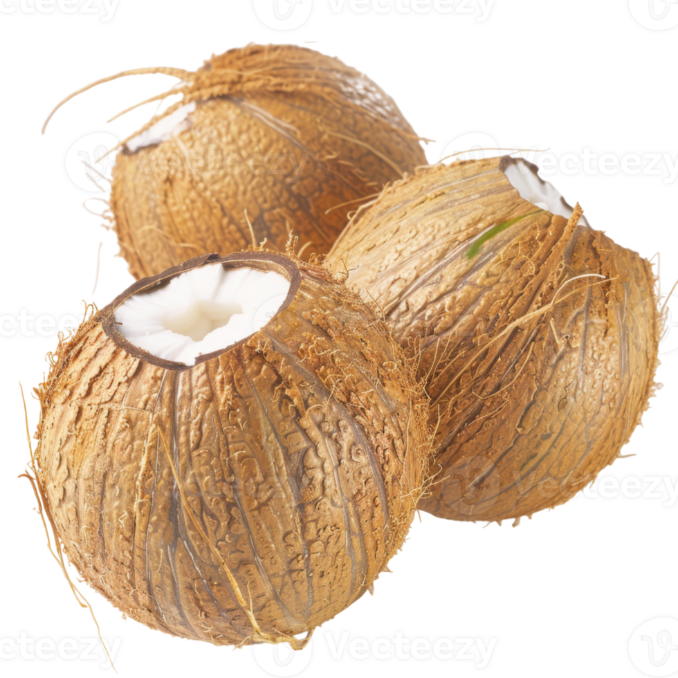 Coconut, fruit realistic Illustration. Realistic Transparent file. Mockup template for artwork graphic design png