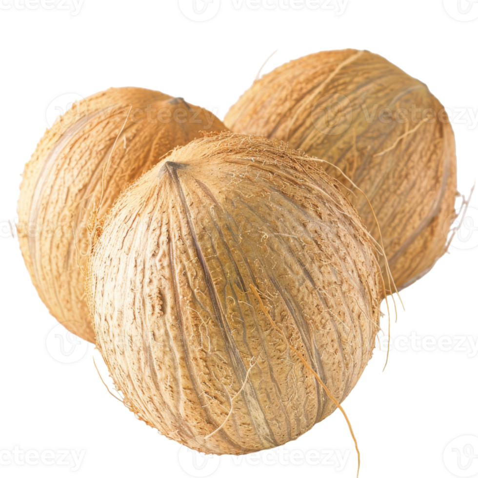 Coconut, fruit realistic Illustration. Realistic Transparent file. Mockup template for artwork graphic design png