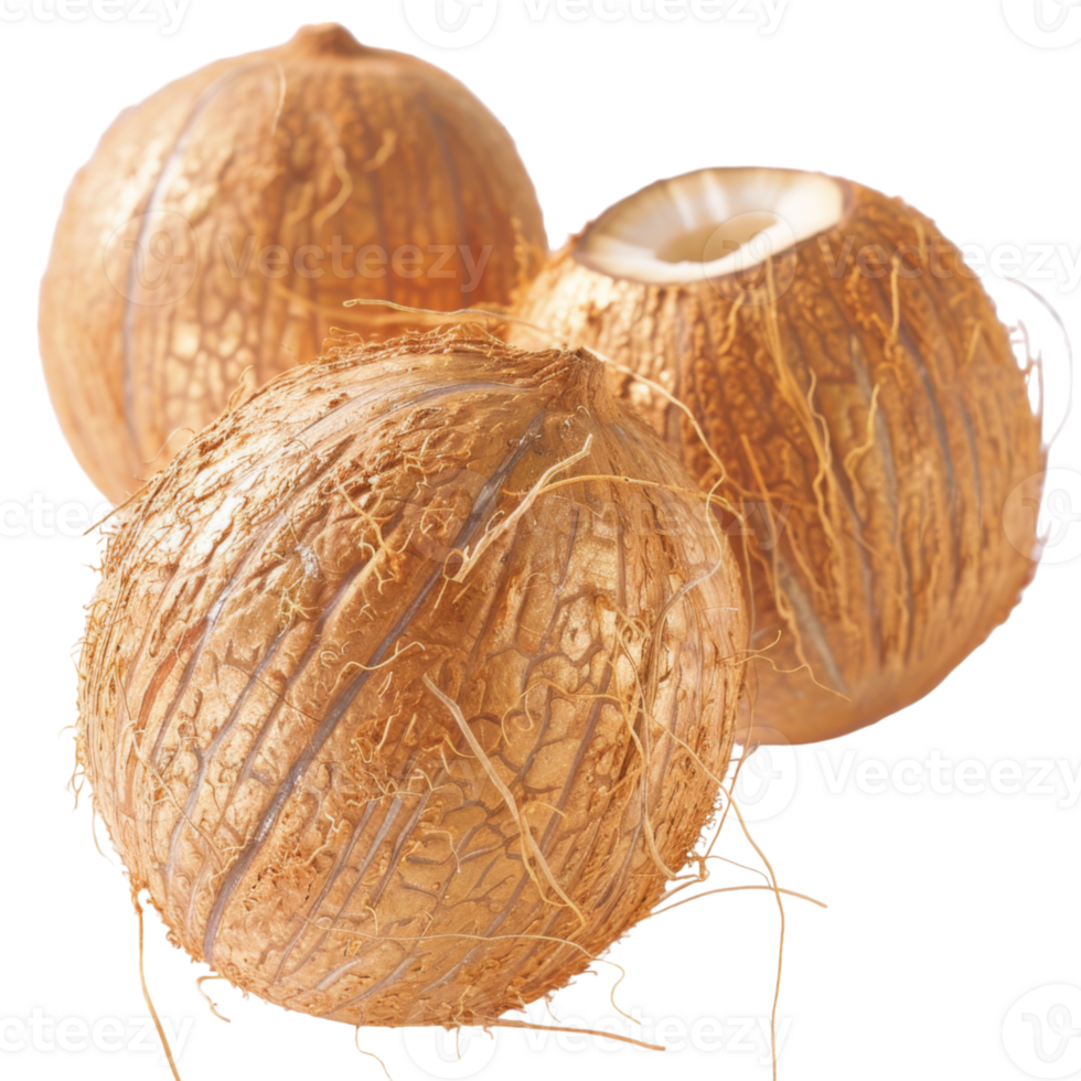 Coconut, fruit realistic Illustration. Realistic Transparent file. Mockup template for artwork graphic design png