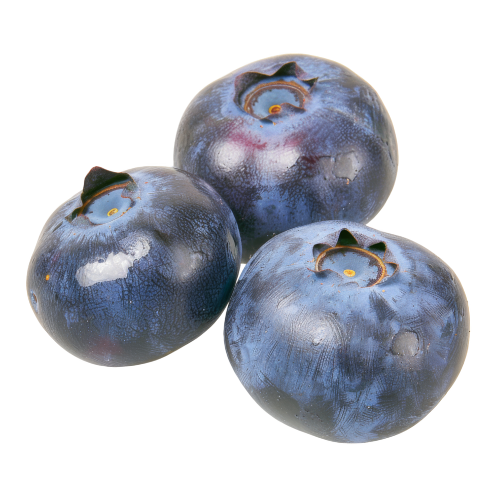 Blueberry, fruit realistic Illustration. Realistic Transparent file. Mockup template for artwork graphic design png