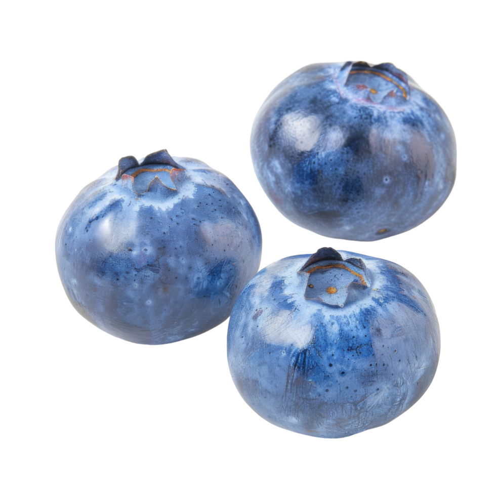 Blueberry, fruit realistic Illustration. Realistic Transparent file. Mockup template for artwork graphic design png