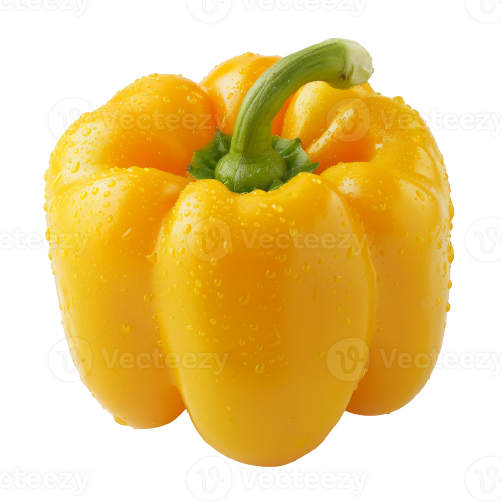 Yellow Bell Pepper, fruit realistic Illustration. Realistic Transparent file. Mockup template for artwork graphic design png