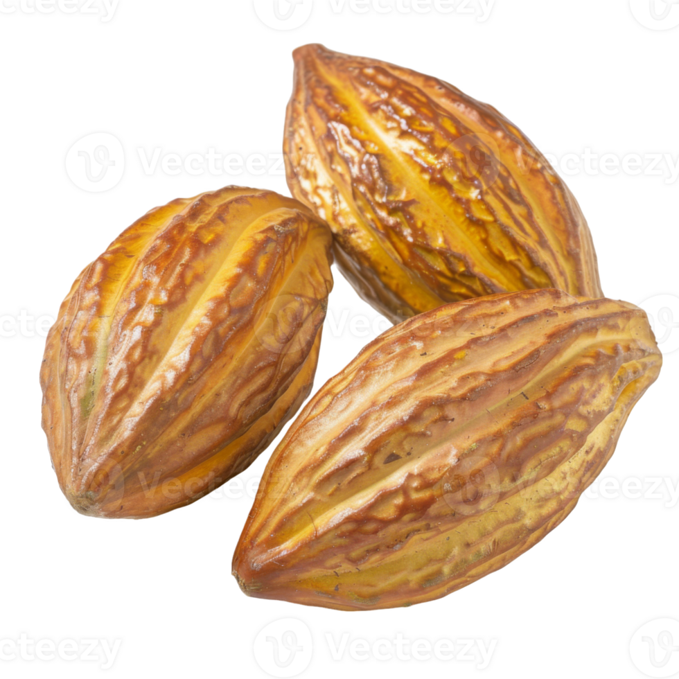 Cacao, fruit realistic Illustration. Realistic Transparent file. Mockup template for artwork graphic design png