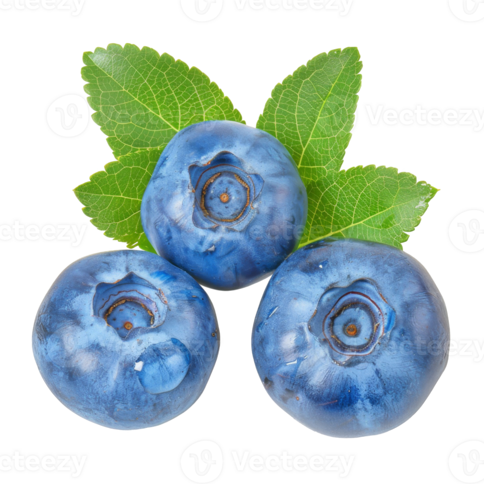 Blueberry, fruit realistic Illustration. Realistic Transparent file. Mockup template for artwork graphic design png