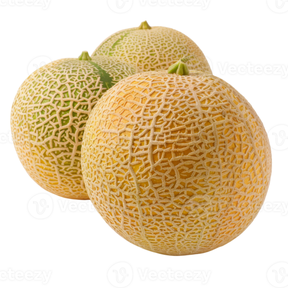 Cantaloupe, fruit realistic Illustration. Realistic Transparent file. Mockup template for artwork graphic design png