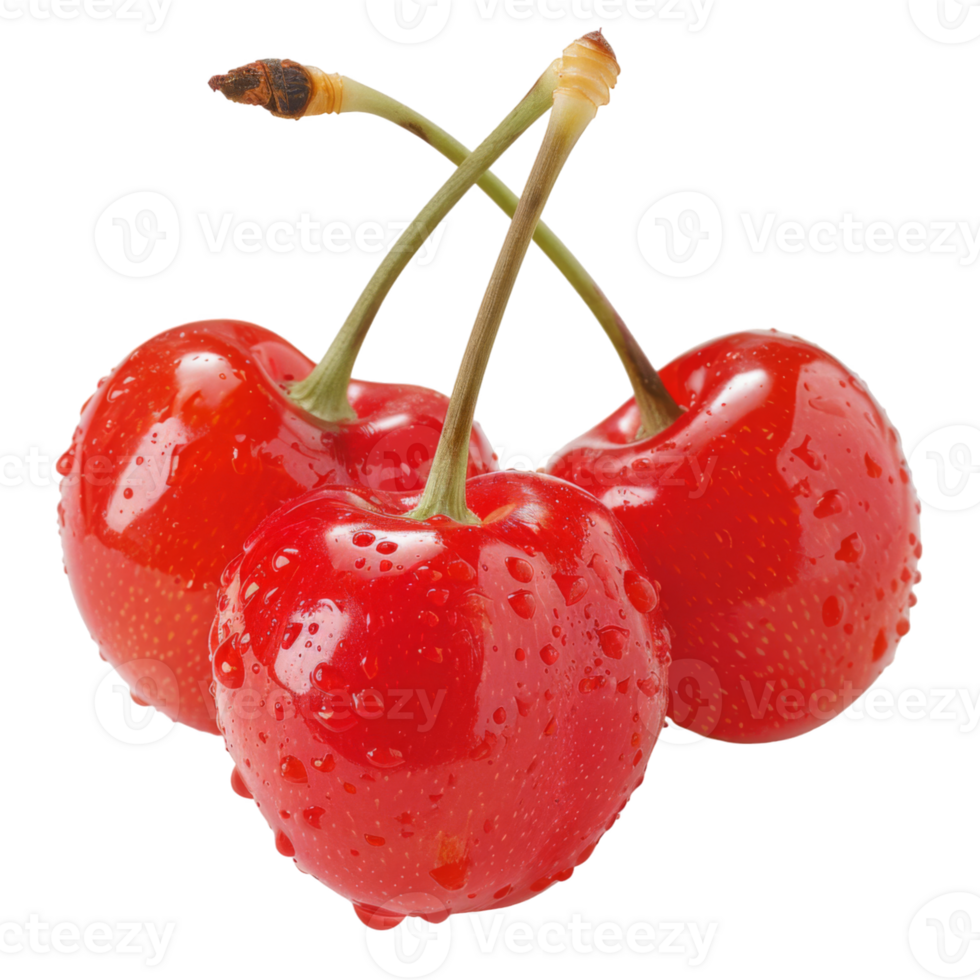 Cherry, fruit realistic Illustration. Realistic Transparent file. Mockup template for artwork graphic design png