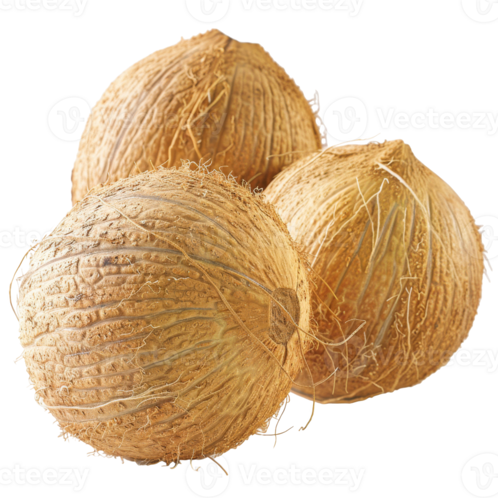 Coconut, fruit realistic Illustration. Realistic Transparent file. Mockup template for artwork graphic design png