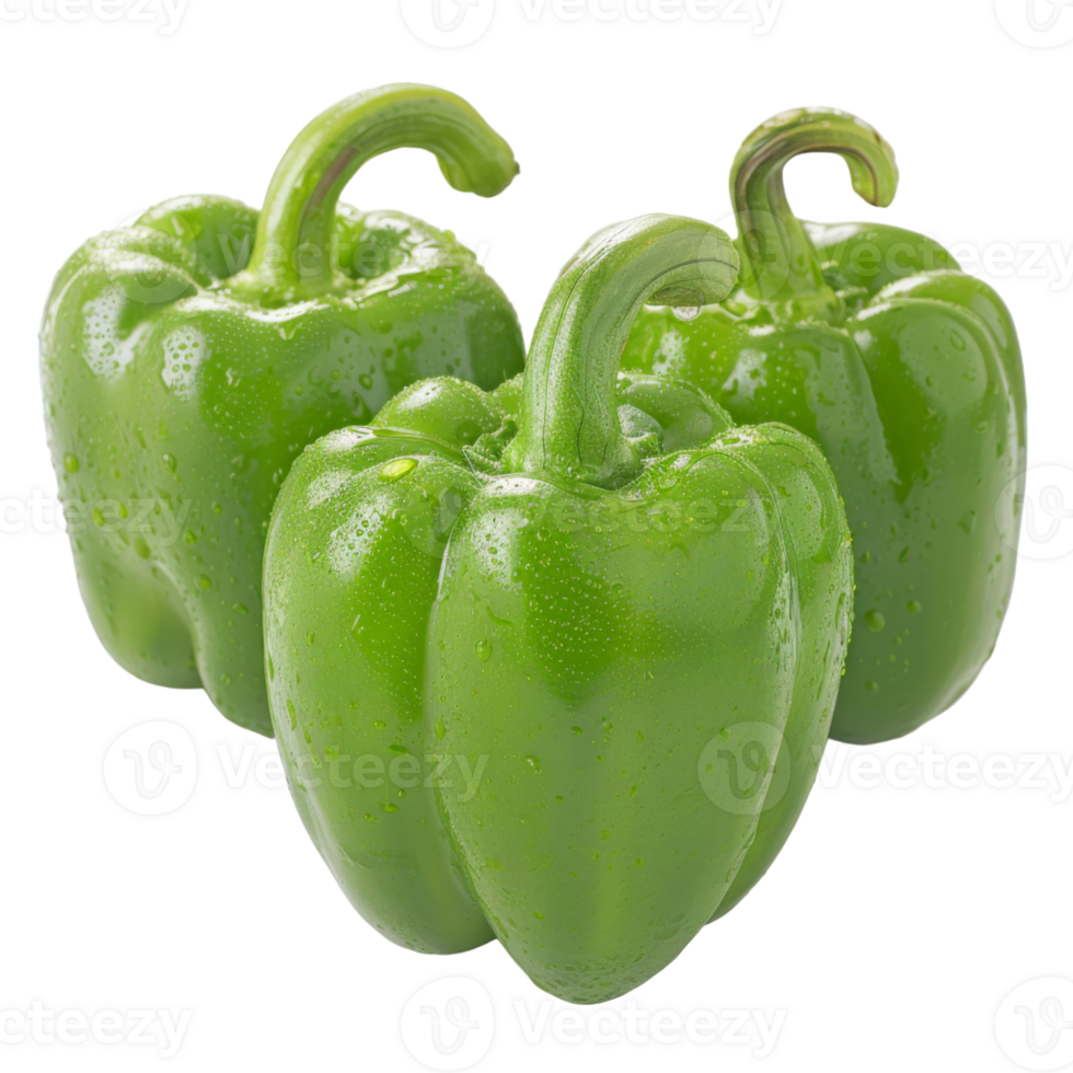 Green Bell Pepper, fruit realistic Illustration. Realistic Transparent file. Mockup template for artwork graphic design png