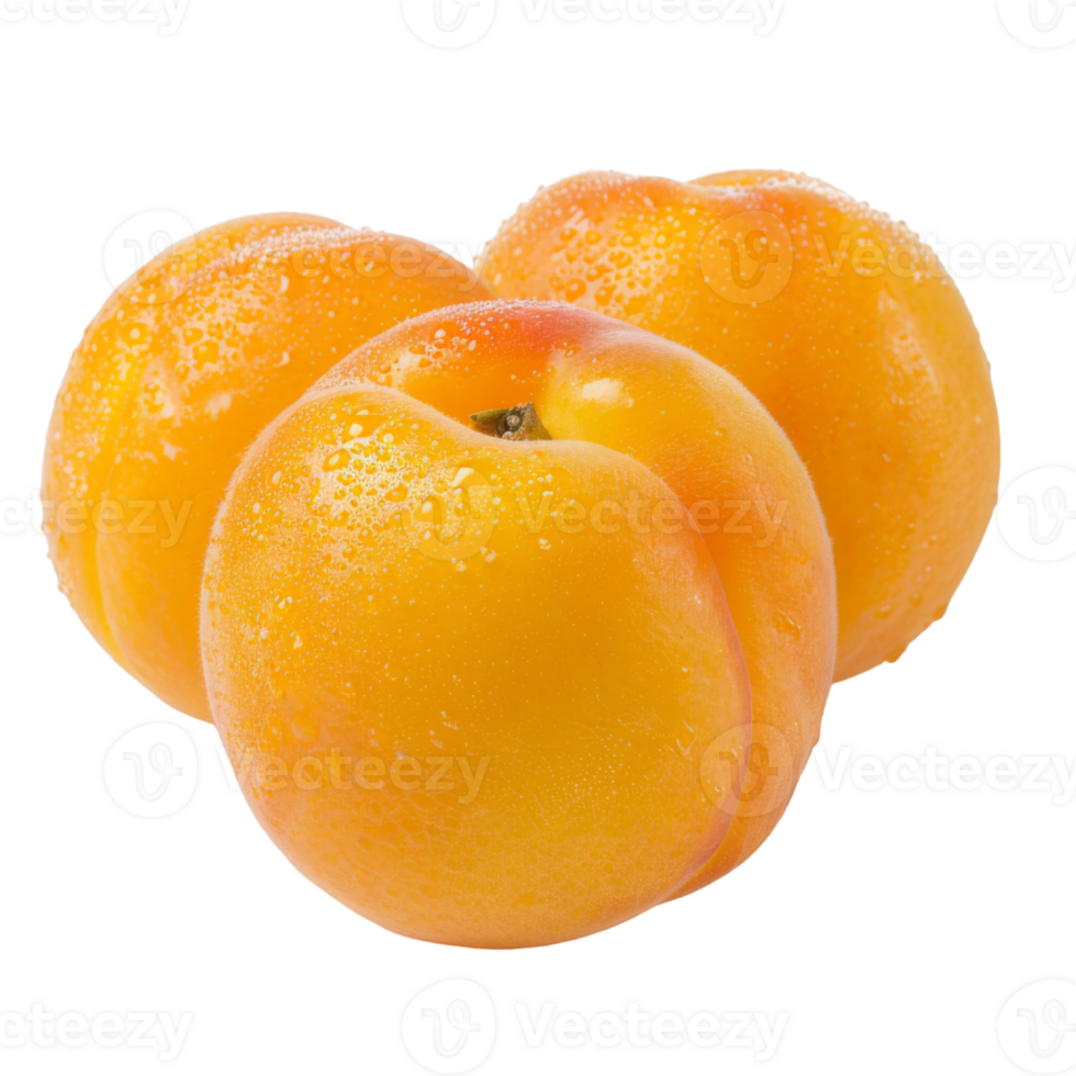 Apricot, fruit realistic Illustration. Realistic Transparent file. Mockup template for artwork graphic design png