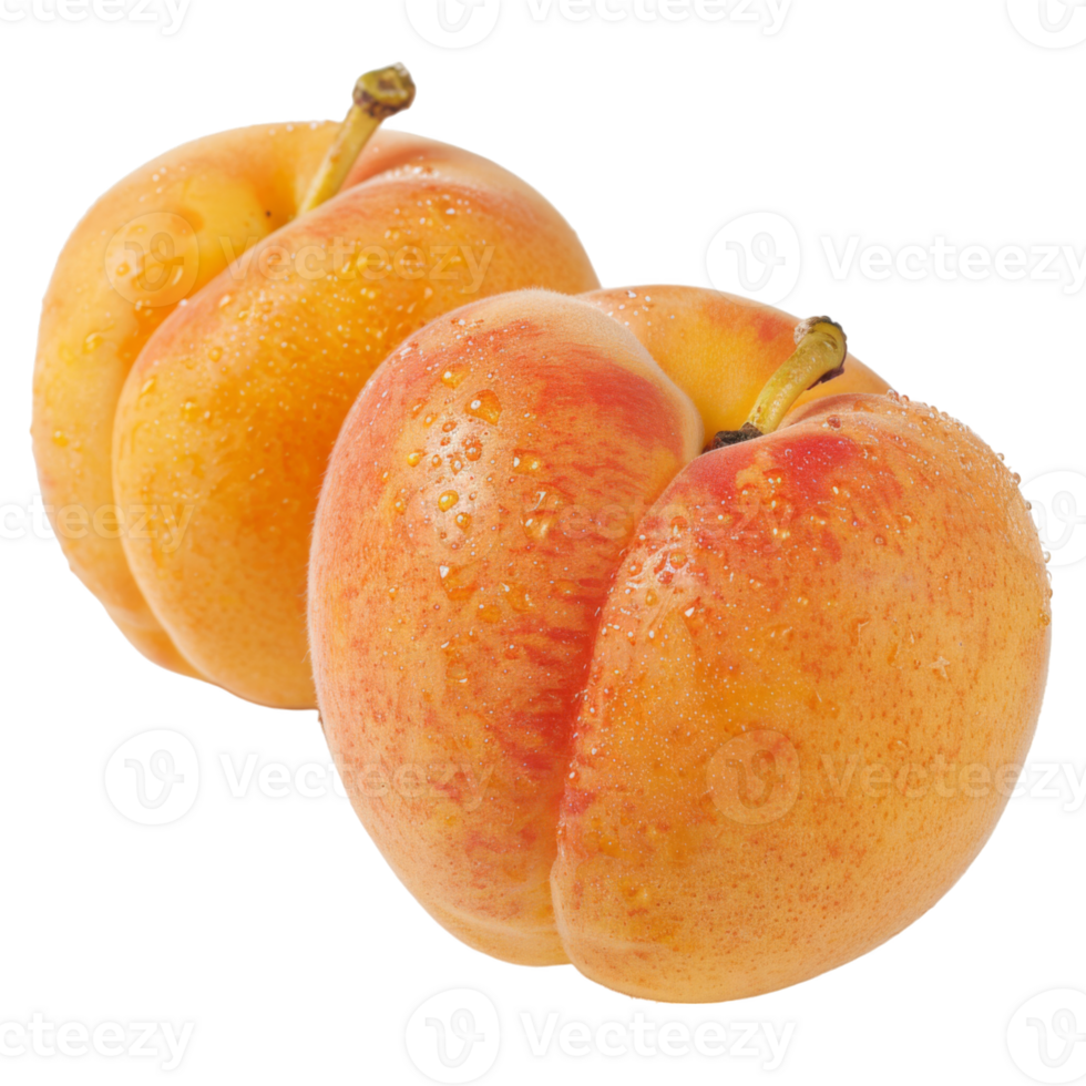 Apricot, fruit realistic Illustration. Realistic Transparent file. Mockup template for artwork graphic design png