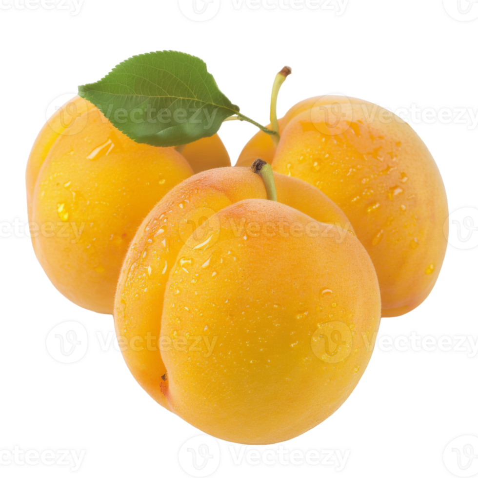 Apricot, fruit realistic Illustration. Realistic Transparent file. Mockup template for artwork graphic design png