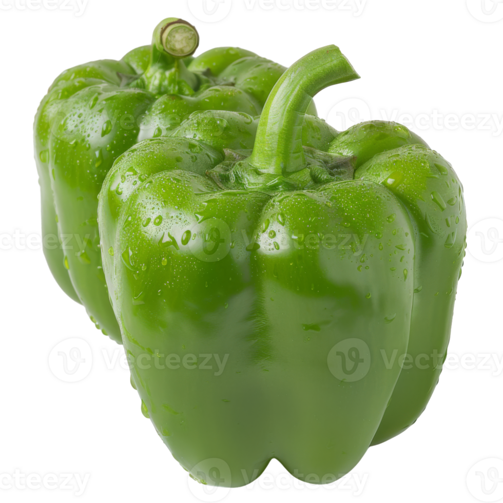 Green Bell Pepper, fruit realistic Illustration. Realistic Transparent file. Mockup template for artwork graphic design png