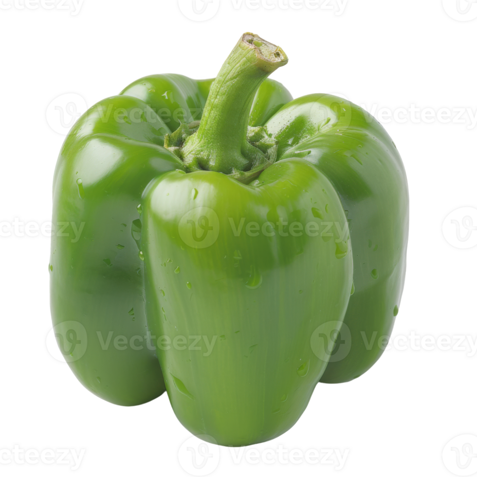 Green Bell Pepper, fruit realistic Illustration. Realistic Transparent file. Mockup template for artwork graphic design png