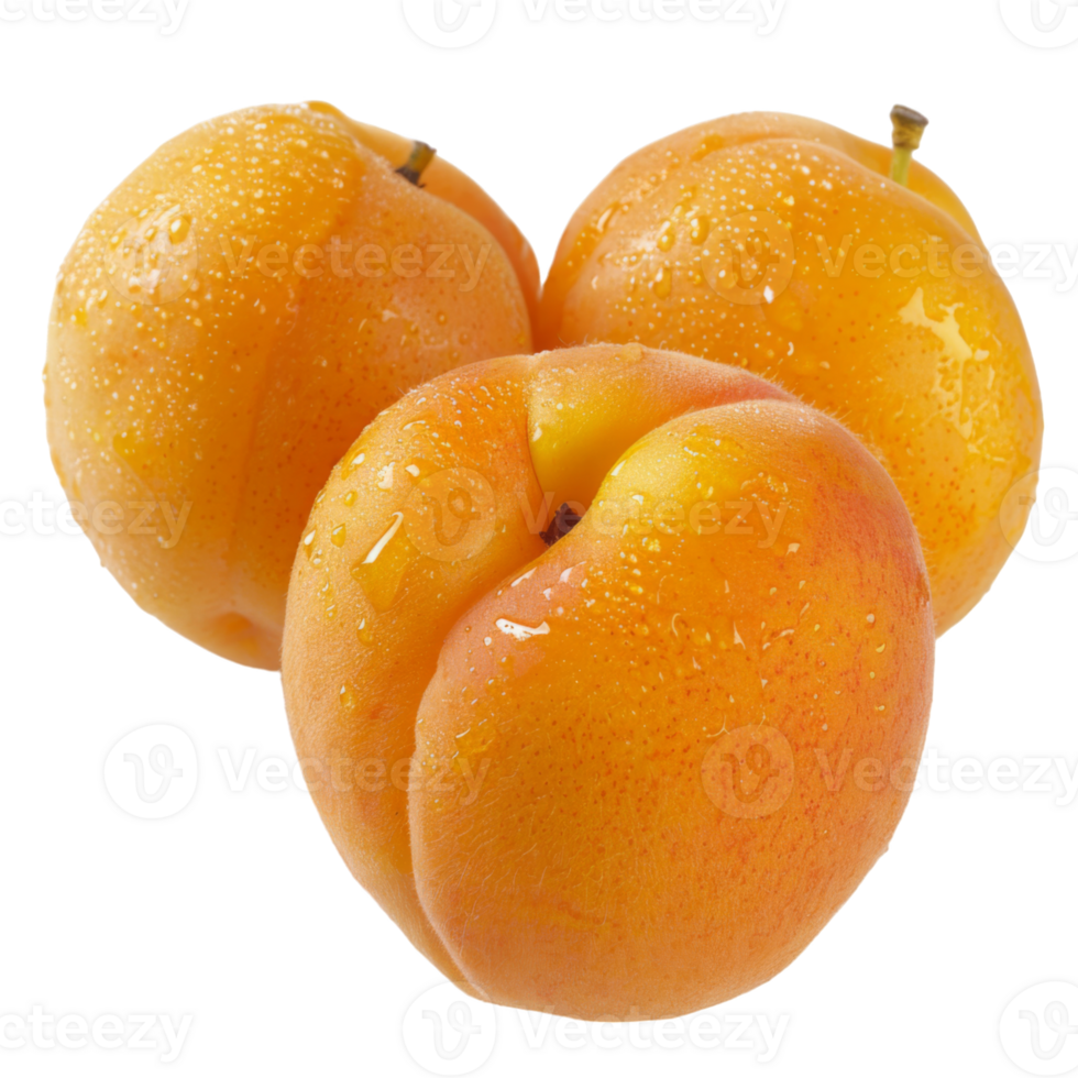 Apricot, fruit realistic Illustration. Realistic Transparent file. Mockup template for artwork graphic design png