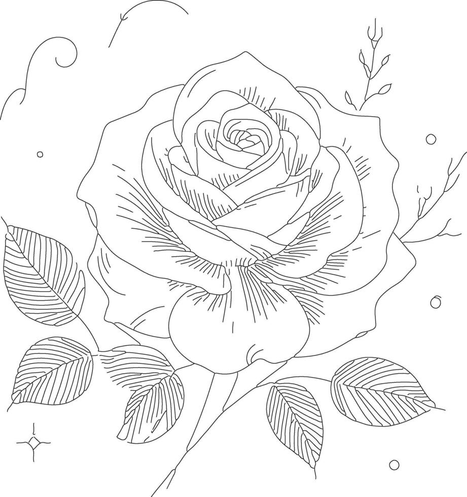 Beautiful rose line art sketch vector