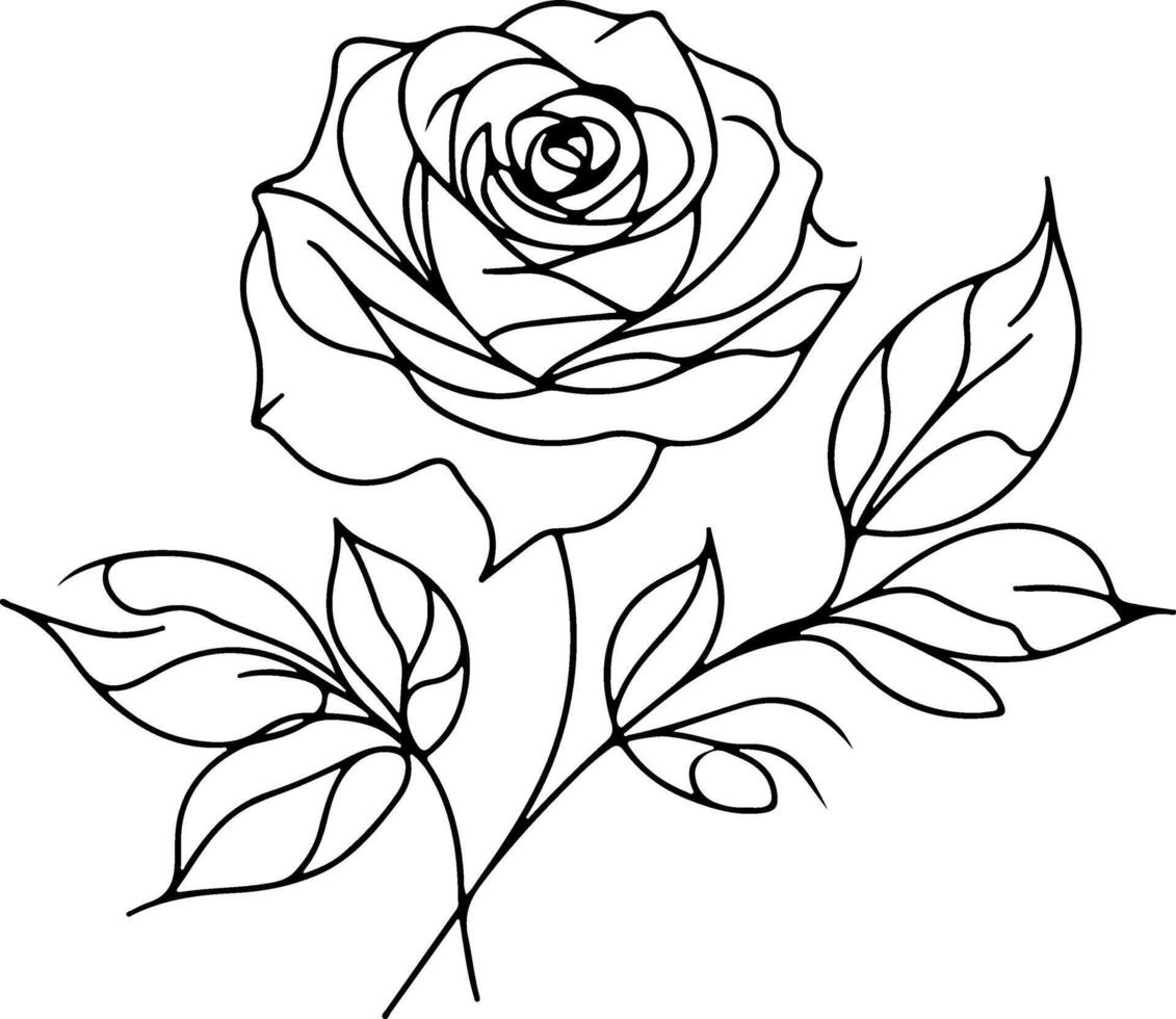 Beautiful rose line art sketch vector