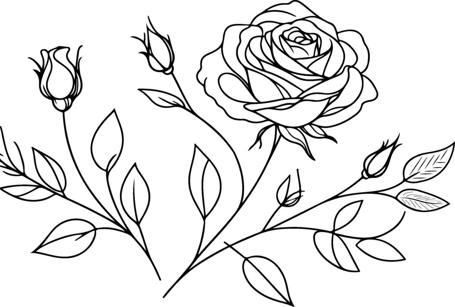 Beautiful rose line art sketch vector
