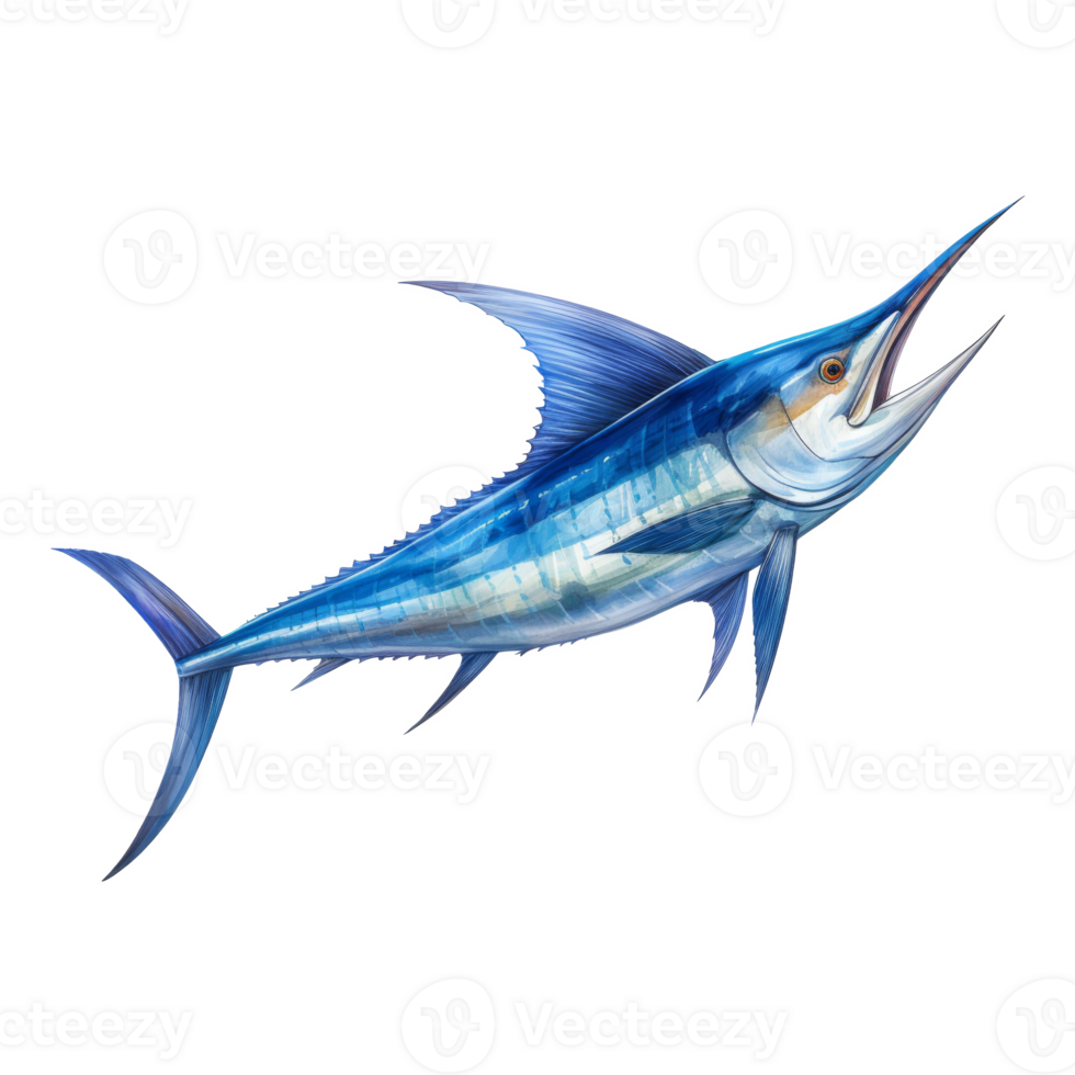 Blue Marlin, Animal Illustration. Watercolor Style png