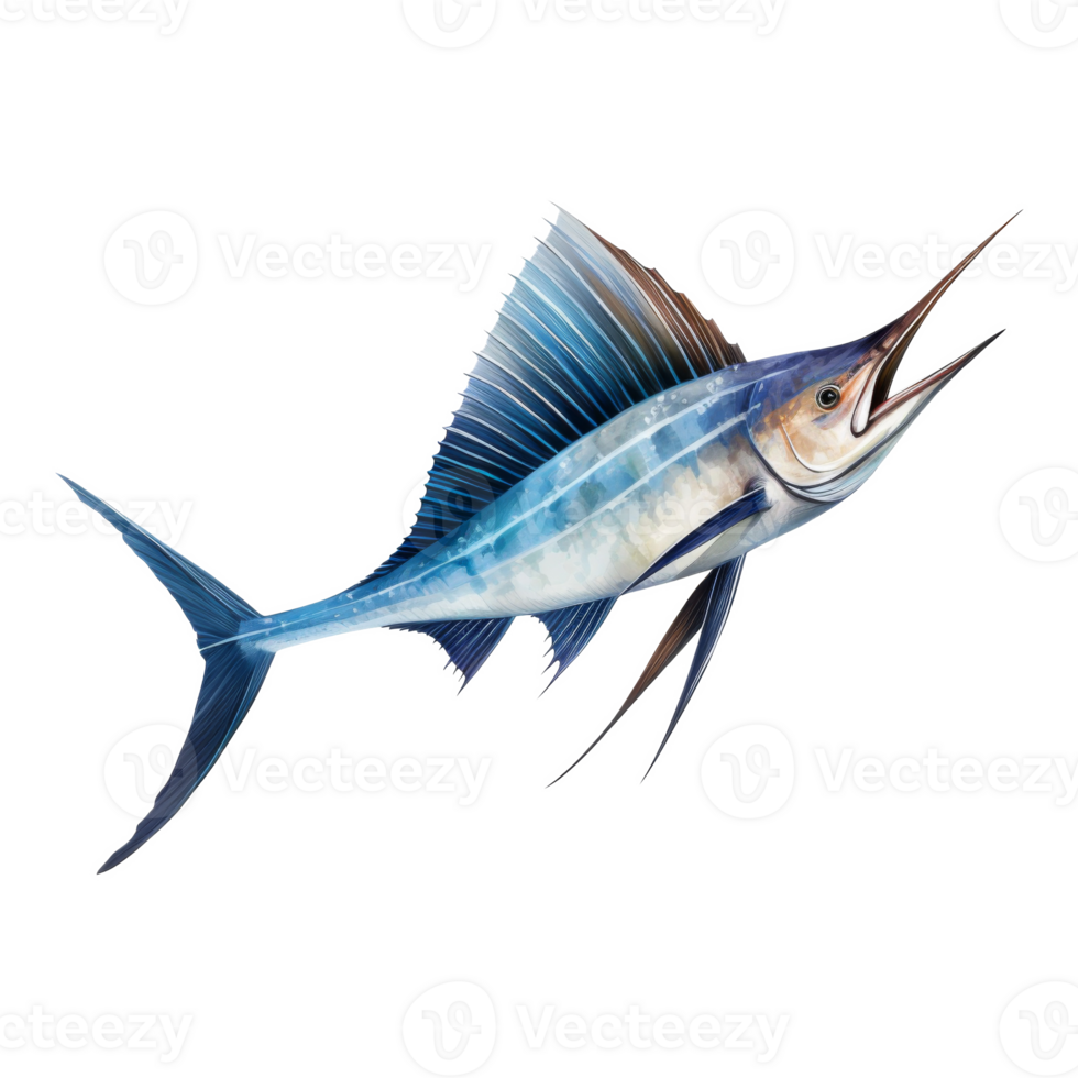 Sailfish, Animal Illustration. Watercolor Style png
