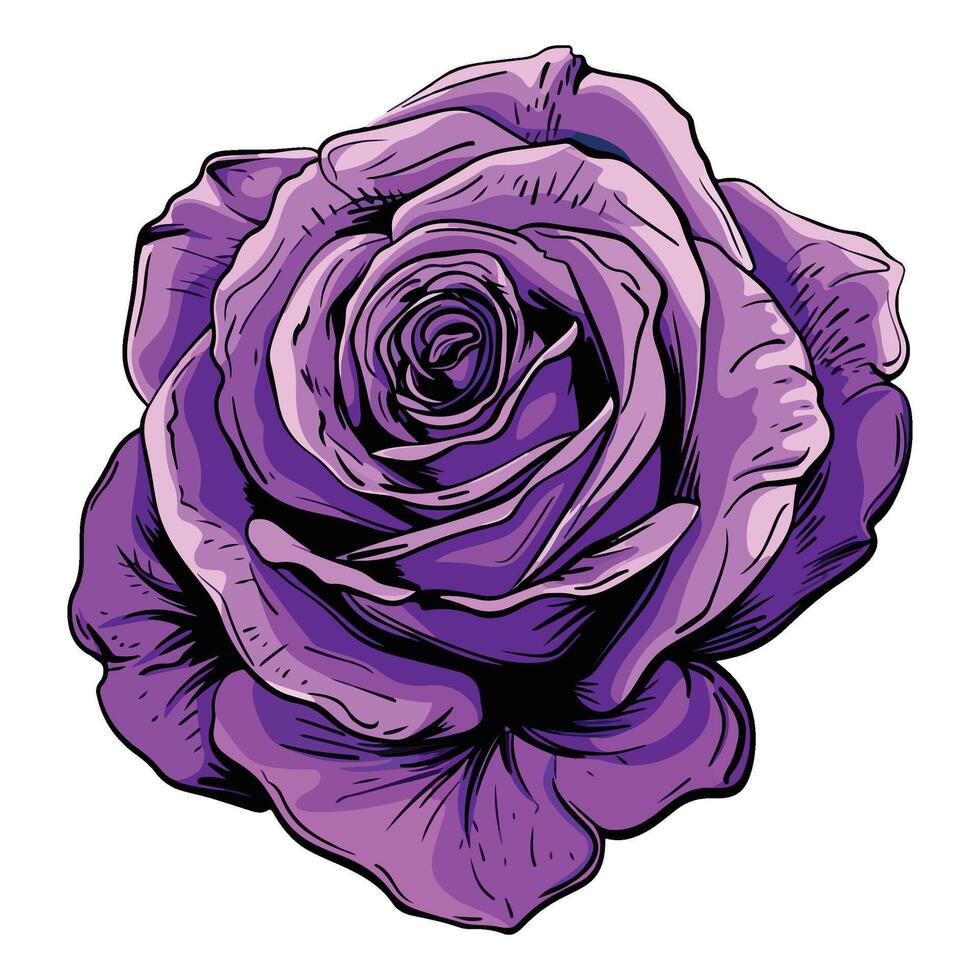 Beautiful purple rose illustration 47120716 Vector Art at Vecteezy