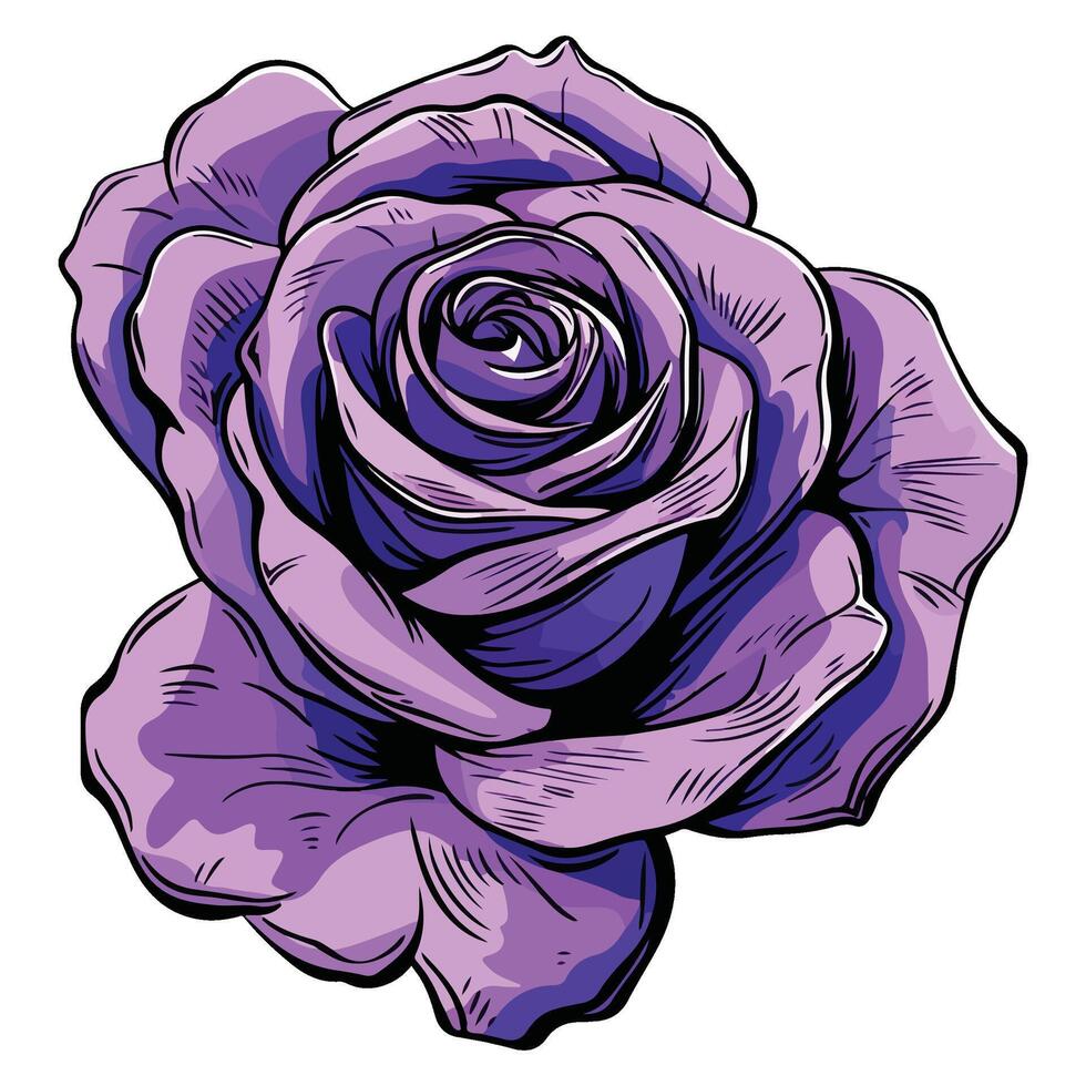 Beautiful purple rose illustration vector