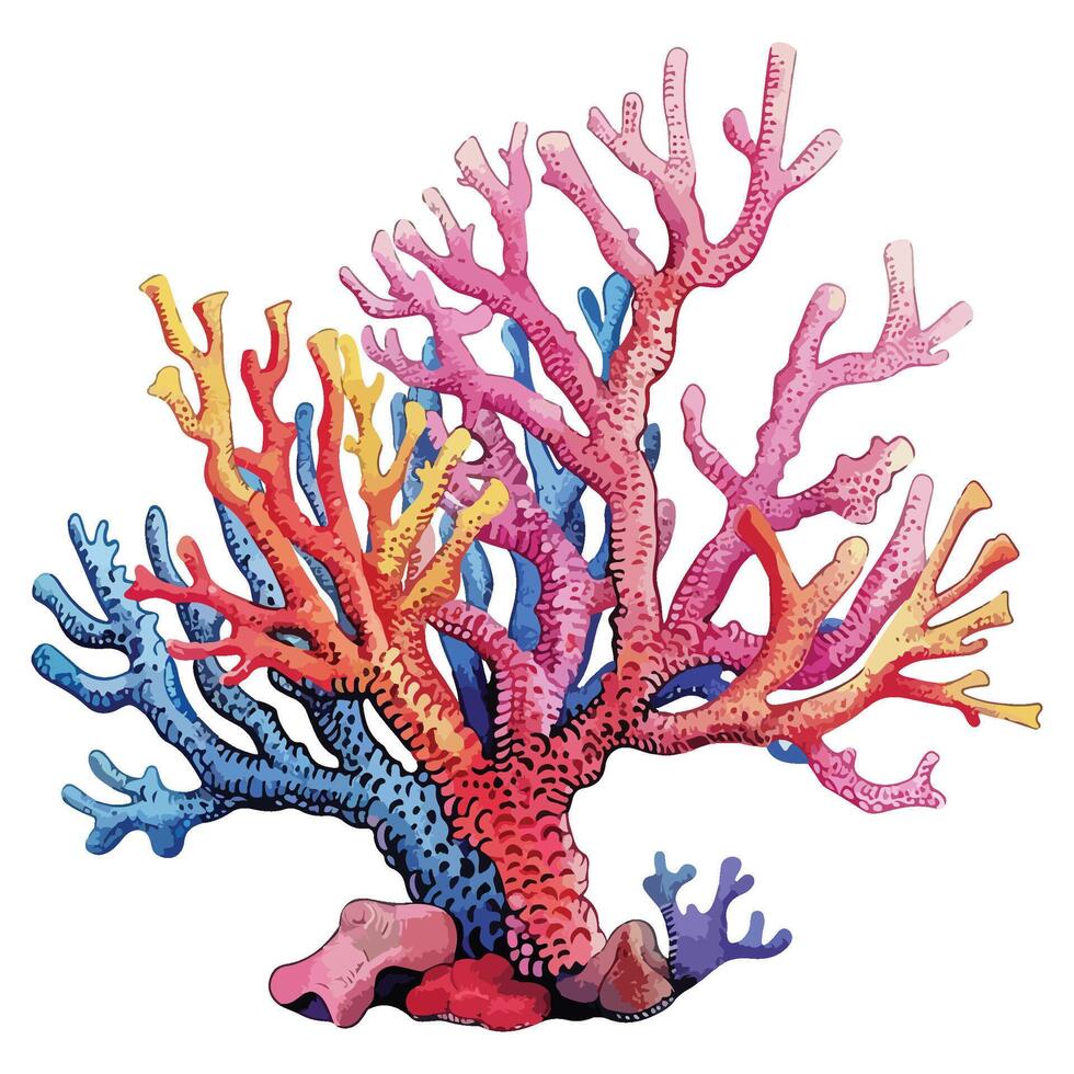 Colorful coral reef illustration vector