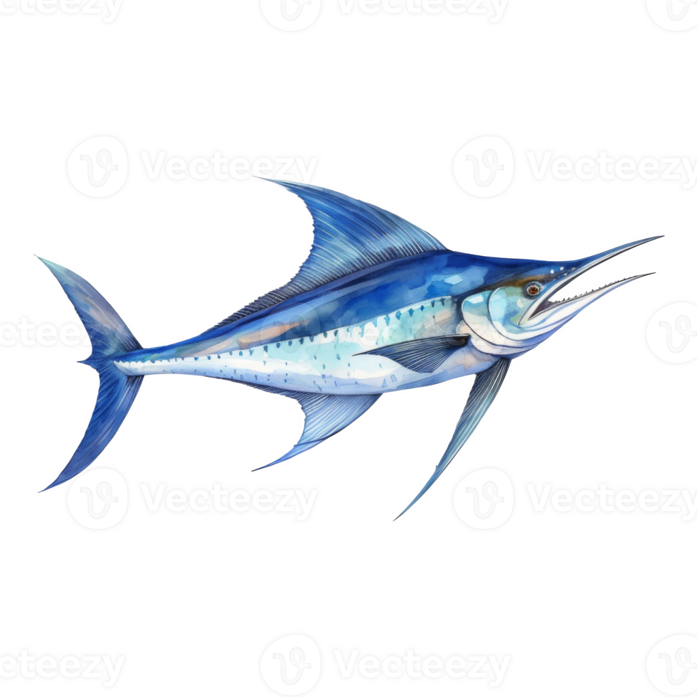 Blue Marlin, Animal Illustration. Watercolor Style png