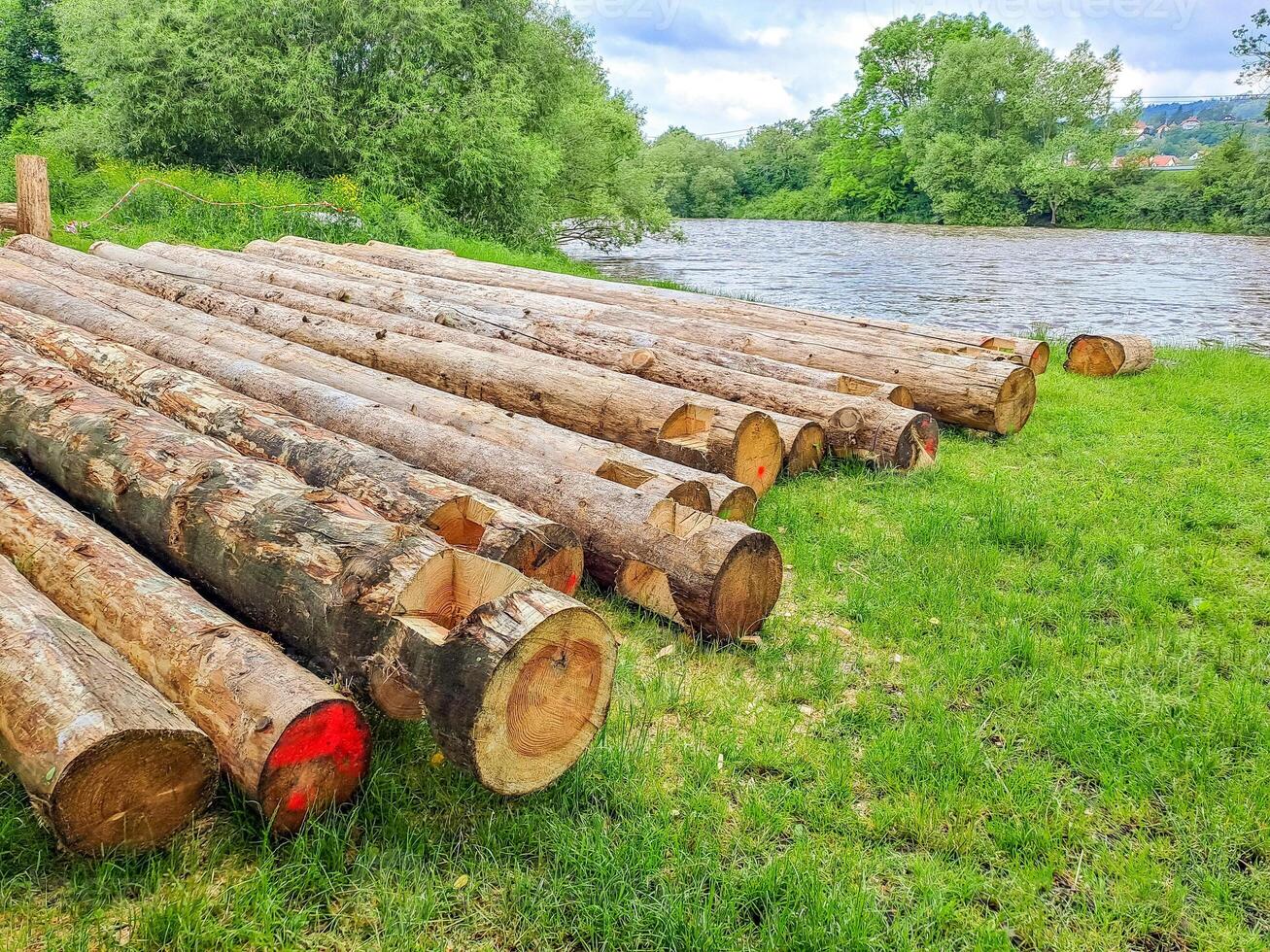 Planks and logs lie on the grass by the river, seasoning for building a raft. photo