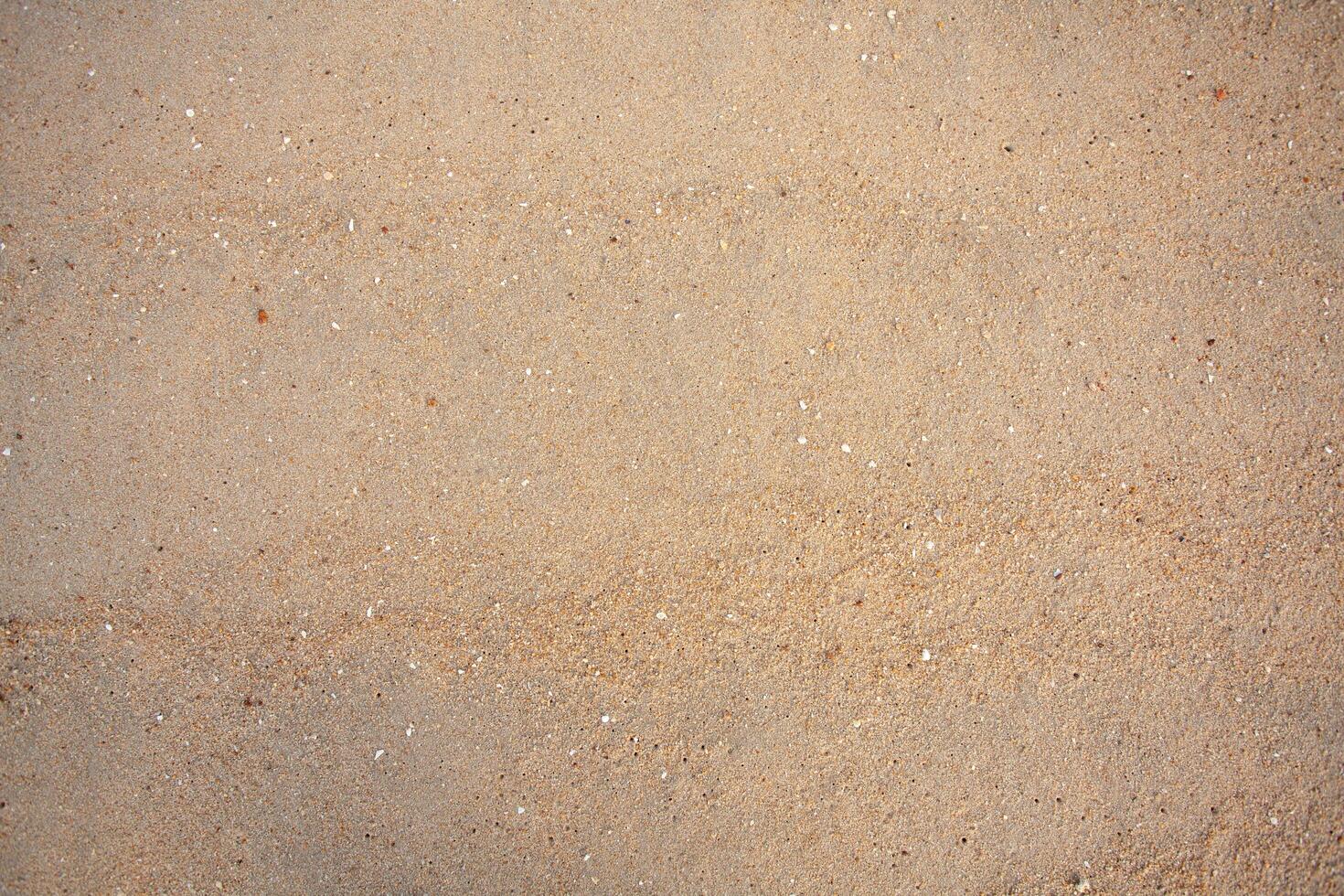 Sand background is used for design work. photo